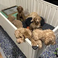 processed/69acf375-7445-42fd-9f7f-c06499cb6a49/facility/445338b3-bd9b-4c99-a9b0-2a0ff1690367