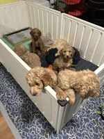 processed/69acf375-7445-42fd-9f7f-c06499cb6a49/facility/445338b3-bd9b-4c99-a9b0-2a0ff1690367