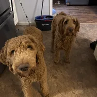 processed/69acf375-7445-42fd-9f7f-c06499cb6a49/facility/45f23be0-9274-401a-8530-700acdfc4f6c