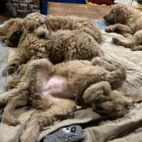 processed/69acf375-7445-42fd-9f7f-c06499cb6a49/facility/46adb02a-7d2c-4aa0-a080-1bcf7bbe0af9