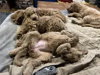 processed/69acf375-7445-42fd-9f7f-c06499cb6a49/facility/46adb02a-7d2c-4aa0-a080-1bcf7bbe0af9