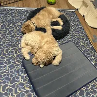 processed/69acf375-7445-42fd-9f7f-c06499cb6a49/facility/7395b6a6-d656-4f49-b8db-1b3a333eeecd