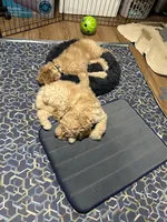 processed/69acf375-7445-42fd-9f7f-c06499cb6a49/facility/7395b6a6-d656-4f49-b8db-1b3a333eeecd