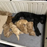 processed/69acf375-7445-42fd-9f7f-c06499cb6a49/facility/b327250b-052b-4c5d-8dee-cad39557ef79