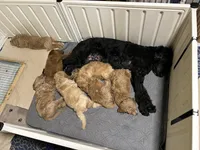 processed/69acf375-7445-42fd-9f7f-c06499cb6a49/facility/b327250b-052b-4c5d-8dee-cad39557ef79