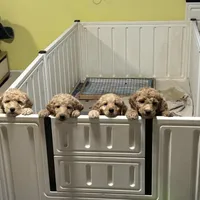 processed/69acf375-7445-42fd-9f7f-c06499cb6a49/facility/ce3465fe-8c00-4281-967b-92d52a416682