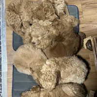 processed/69acf375-7445-42fd-9f7f-c06499cb6a49/facility/f5c56a55-265d-4bcf-b40a-ef8b3c9d5024