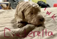 processed/69acf375-7445-42fd-9f7f-c06499cb6a49/listing/161d8924-afa9-4b2e-bd10-3fc34b379461/01e56c7a-bc8f-4f25-ab0f-f657fd33883c