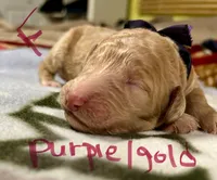 processed/69acf375-7445-42fd-9f7f-c06499cb6a49/listing/161d8924-afa9-4b2e-bd10-3fc34b379461/15c62875-b49e-4e94-9ac7-d2a912bfbf57