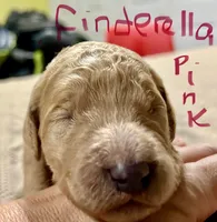 processed/69acf375-7445-42fd-9f7f-c06499cb6a49/listing/161d8924-afa9-4b2e-bd10-3fc34b379461/32be4c96-dd89-4b7c-bcda-1af2ad86f468