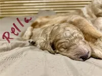 processed/69acf375-7445-42fd-9f7f-c06499cb6a49/listing/161d8924-afa9-4b2e-bd10-3fc34b379461/bbe70c46-ef26-4c36-bc07-f0007ef0f9b3