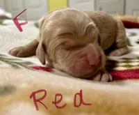 processed/69acf375-7445-42fd-9f7f-c06499cb6a49/listing/74794e54-e412-4044-ba57-14b67cbbb6e7/2cbefc49-6118-4432-aaab-12c7d010334c