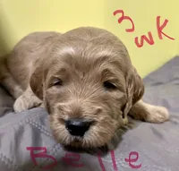 processed/69acf375-7445-42fd-9f7f-c06499cb6a49/listing/74794e54-e412-4044-ba57-14b67cbbb6e7/489643e7-e707-475e-a4a5-081a9de4598f