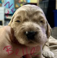 processed/69acf375-7445-42fd-9f7f-c06499cb6a49/listing/74794e54-e412-4044-ba57-14b67cbbb6e7/7325f66a-d314-47eb-bcf0-7273cd2f6ed4