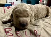 processed/69acf375-7445-42fd-9f7f-c06499cb6a49/listing/74794e54-e412-4044-ba57-14b67cbbb6e7/7779e015-c16f-4301-b17d-c82db80977f5