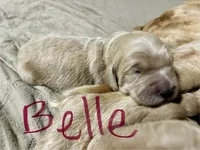 processed/69acf375-7445-42fd-9f7f-c06499cb6a49/listing/74794e54-e412-4044-ba57-14b67cbbb6e7/866d259d-bd39-46ff-b174-1e1e12761ab7