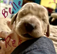 processed/69acf375-7445-42fd-9f7f-c06499cb6a49/listing/74794e54-e412-4044-ba57-14b67cbbb6e7/b56f3340-4027-4dbb-be57-b8339392f342