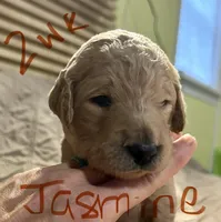 processed/69acf375-7445-42fd-9f7f-c06499cb6a49/listing/8deacf63-c642-4419-9bad-198d45ff49f8/2472bc20-5925-4a0e-97d8-33d1a3cac749