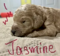 processed/69acf375-7445-42fd-9f7f-c06499cb6a49/listing/8deacf63-c642-4419-9bad-198d45ff49f8/4fcb4507-ed99-409f-8115-77de23ef737b