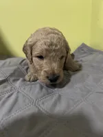 processed/69acf375-7445-42fd-9f7f-c06499cb6a49/listing/8deacf63-c642-4419-9bad-198d45ff49f8/614684d0-bd58-43e2-98c0-a1cdaba08145