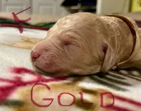 processed/69acf375-7445-42fd-9f7f-c06499cb6a49/listing/8deacf63-c642-4419-9bad-198d45ff49f8/d7d300c1-f87b-4085-bb02-0045e88ba1d2