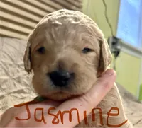 processed/69acf375-7445-42fd-9f7f-c06499cb6a49/listing/8deacf63-c642-4419-9bad-198d45ff49f8/f12c3308-9e4f-46d0-a2df-9be7d976663e