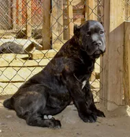 processed/69c76a0f-ed79-4cd1-a241-8722cb79ab85/listing/1f7d569c-d52b-488e-8616-048bbea989d8/01902c28-501d-44e0-8f1b-287719e19d0f