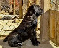 processed/69c76a0f-ed79-4cd1-a241-8722cb79ab85/listing/1f7d569c-d52b-488e-8616-048bbea989d8/48b2a94d-a366-4578-9ba4-43f4948f0c3d