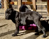 processed/69c76a0f-ed79-4cd1-a241-8722cb79ab85/listing/1f7d569c-d52b-488e-8616-048bbea989d8/96d89b36-355e-413c-98ec-f968ff34623d