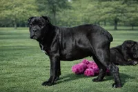 processed/69c76a0f-ed79-4cd1-a241-8722cb79ab85/listing/4b9a8bbb-776d-493c-815a-dd3830ecbcf8/1ffb6374-0e6d-4195-9cde-cb50ab974dc9