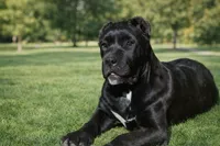 processed/69c76a0f-ed79-4cd1-a241-8722cb79ab85/listing/4b9a8bbb-776d-493c-815a-dd3830ecbcf8/4d891f6e-5f98-47d9-a967-35aee0e0af01