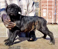 processed/69c76a0f-ed79-4cd1-a241-8722cb79ab85/listing/712ddd55-7070-40ef-b329-da4a9676be3d/5d6120e3-c143-4f37-9ef7-992d08e341af