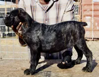 processed/69c76a0f-ed79-4cd1-a241-8722cb79ab85/listing/712ddd55-7070-40ef-b329-da4a9676be3d/9818118d-37bf-4856-877a-a5e4f6357ede