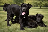 processed/69c76a0f-ed79-4cd1-a241-8722cb79ab85/listing/712ddd55-7070-40ef-b329-da4a9676be3d/f20a95b2-4e96-430b-86b8-fd0a3e0003c5