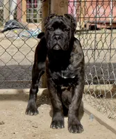 processed/69c76a0f-ed79-4cd1-a241-8722cb79ab85/listing/932c4c3c-14de-4a78-ab62-9f3acdb4a587/1adcb444-b146-47e3-9c38-a33f137fb119