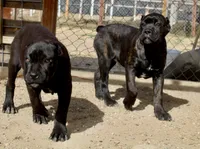 processed/69c76a0f-ed79-4cd1-a241-8722cb79ab85/listing/932c4c3c-14de-4a78-ab62-9f3acdb4a587/6d997187-2c69-4825-b90c-6c79e7810cae