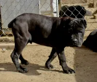 processed/69c76a0f-ed79-4cd1-a241-8722cb79ab85/listing/a21e35e8-04d7-4d02-8a37-6470b43ebd0a/167b4d91-0936-49e5-babe-549a84fcf0d1