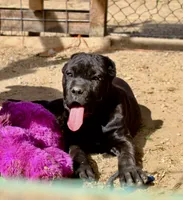 processed/69c76a0f-ed79-4cd1-a241-8722cb79ab85/listing/a21e35e8-04d7-4d02-8a37-6470b43ebd0a/b243185f-222a-4d79-972e-ee0bfea9ea72