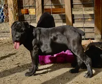 processed/69c76a0f-ed79-4cd1-a241-8722cb79ab85/listing/a21e35e8-04d7-4d02-8a37-6470b43ebd0a/d1848d42-1f64-498f-b575-fca8c6ab26cc