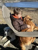 Pink, a female Golden Retriever for sale in Pelahatchie, MS – Photo 4 of 4