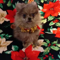 processed/69da50b9-455b-4748-97e5-16c6bc6e2fb8/facility/5d8f7c26-7e9d-4282-a1eb-4b5e2983c98a