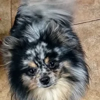 processed/69da50b9-455b-4748-97e5-16c6bc6e2fb8/facility/5e6bec2b-554c-4373-8b84-2f6cffdf00ed