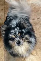 processed/69da50b9-455b-4748-97e5-16c6bc6e2fb8/facility/5e6bec2b-554c-4373-8b84-2f6cffdf00ed