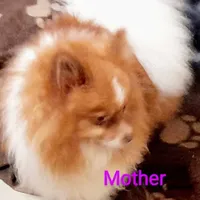 processed/69da50b9-455b-4748-97e5-16c6bc6e2fb8/facility/60b04b09-06a2-4780-b163-7477c1b5aaf3