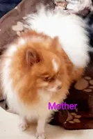 processed/69da50b9-455b-4748-97e5-16c6bc6e2fb8/facility/60b04b09-06a2-4780-b163-7477c1b5aaf3