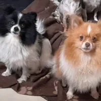 processed/69da50b9-455b-4748-97e5-16c6bc6e2fb8/facility/b058a907-d729-4f34-bc1b-46cd6d782666