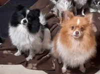 processed/69da50b9-455b-4748-97e5-16c6bc6e2fb8/facility/b058a907-d729-4f34-bc1b-46cd6d782666