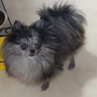 processed/69da50b9-455b-4748-97e5-16c6bc6e2fb8/facility/bf6d9ba2-e1ef-4628-b281-6fbbc54734ef