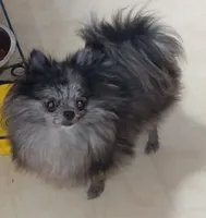 processed/69da50b9-455b-4748-97e5-16c6bc6e2fb8/facility/bf6d9ba2-e1ef-4628-b281-6fbbc54734ef