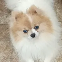 processed/69da50b9-455b-4748-97e5-16c6bc6e2fb8/facility/f1035468-aa0b-4af1-bcfe-fecacc111bd9